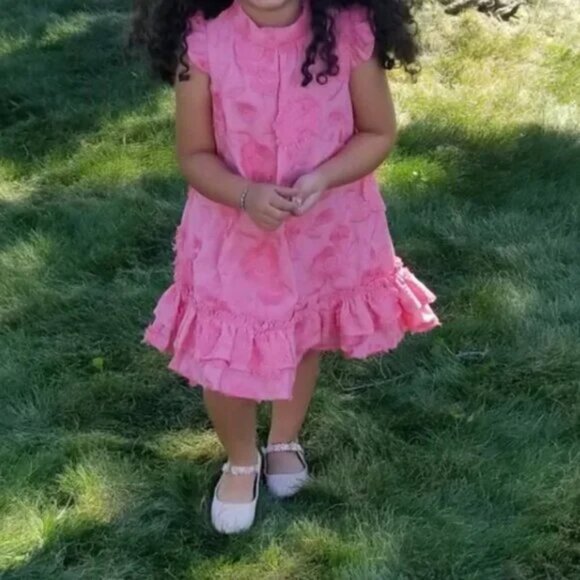 Janie and Jack Pink Floral Embroidered Ruffle Tiered Dress size 5 (A5) - Picture 3 of 7